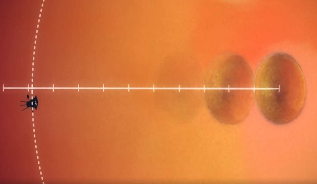 NASA Sent A Spacecraft Toward The Sun And Made History